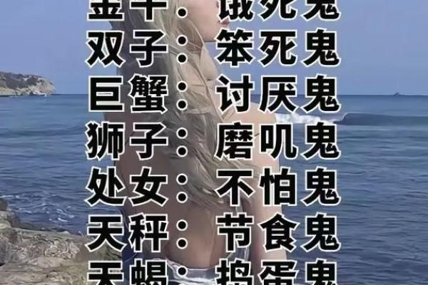 12星座最傻的歌怎么唱
