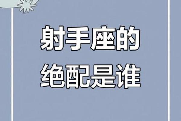 射手座的婚配什么星座最合适男生