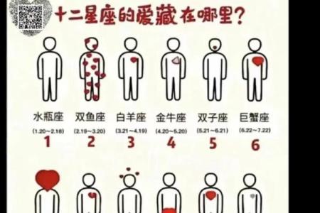 你最喜欢的星座男是哪个