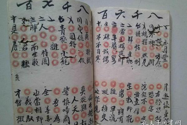 湛江遂溪风水算命