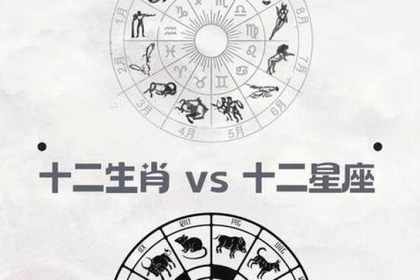 不同属相相同星座的人运势一样吗