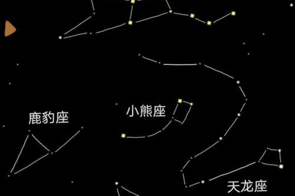 春夏秋冬都有哪些星座