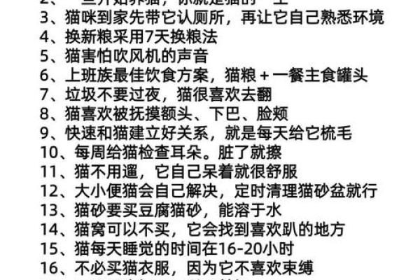 养猫风水