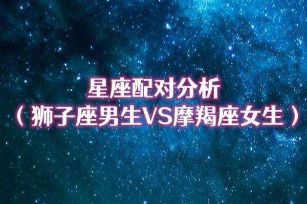 狮子座是图像星座吗