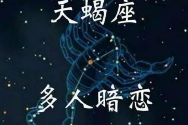 天蝎座最适合做生意的星座