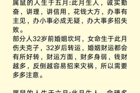 属鼠人风水吉凶方位，如何开运