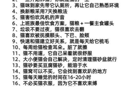 养猫风水