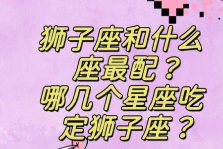 狮子座是图像星座吗