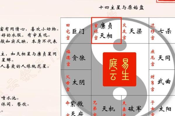 紫微斗数大限紫薇天相