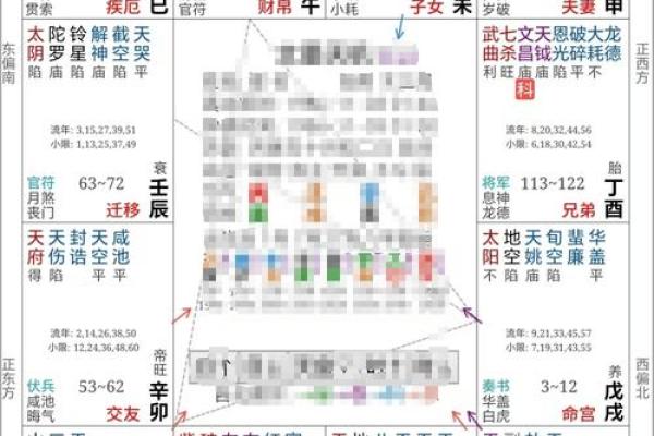 紫薇斗数专属命盘