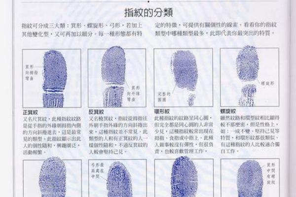 《手相学习百科》：指尖与指节