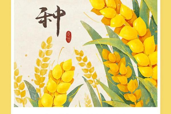 芒种节气绘画图片 芒种节气的故事及民俗