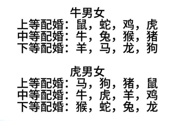属相配对女性姻缘查询 属相婚姻配对十二生肖配对？