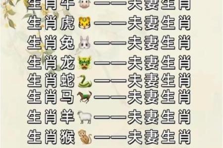 属狗巨蟹座男与属猪双鱼女配对合适吗