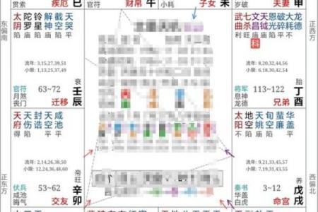 紫薇斗数专属命盘