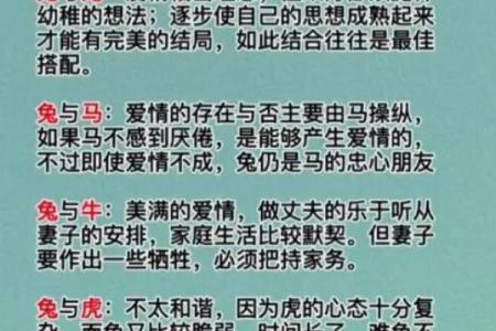 生肖兔和兔的配对是否适合