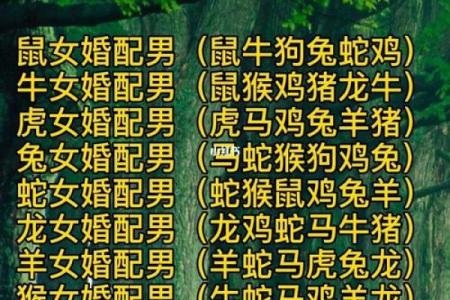 婚姻大忌的生肖配对
