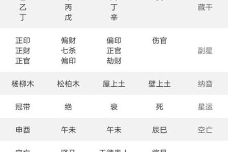 紫薇斗数定盘软件