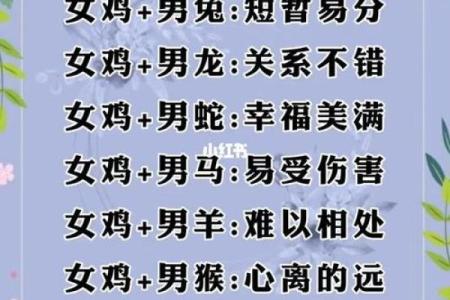 1994年属什么生肖配对最好