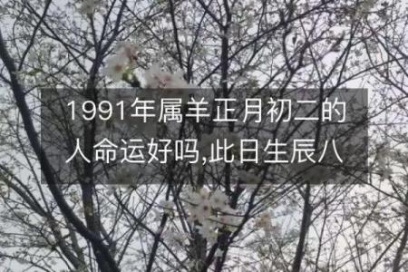 属羊.八字