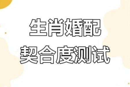 生肖配对指数 生肖配对指数真的准吗