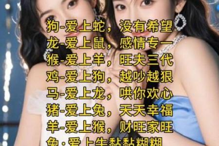 测你2024和属牛人的爱情配对指数是多少
