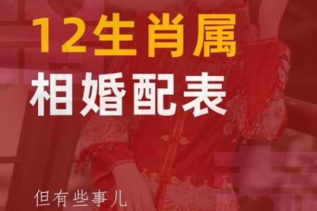 属鼠正缘出现在哪年 属鼠人婚姻配对表