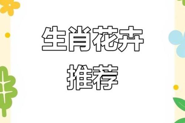 围绕中心生肖养，打造最全生肖百科！