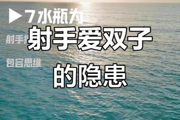 双子座和射手配对吗