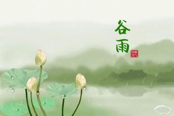 谷雨有什么民俗 谷雨的四言绝句