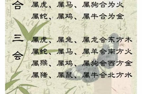 婚姻属相配对查询属马 哪些属相与属马最相配