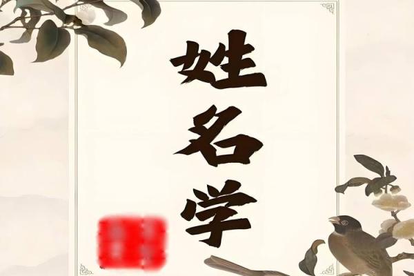 姓名风水_大家取名都是怎么取的啊
