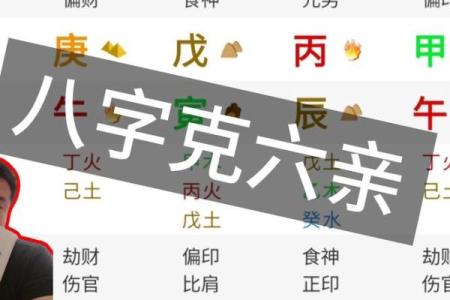 八字怎样看