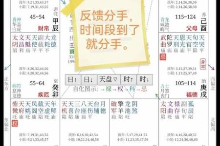 紫薇斗数小说免费