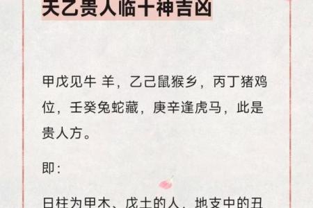 八字智慧