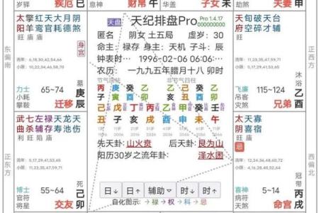 紫薇斗数化解化忌