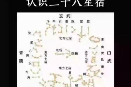 二十八星宿查询表配对