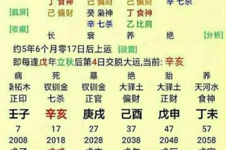 壬辰日八字