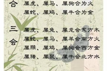 婚姻属相配对查询属马 哪些属相与属马最相配