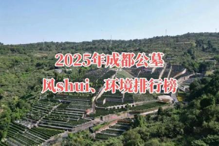 选择公墓时应考虑哪些风水因素？