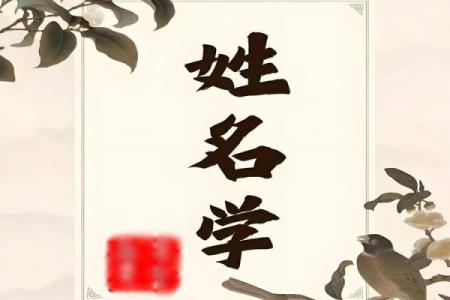 姓名风水_大家取名都是怎么取的啊