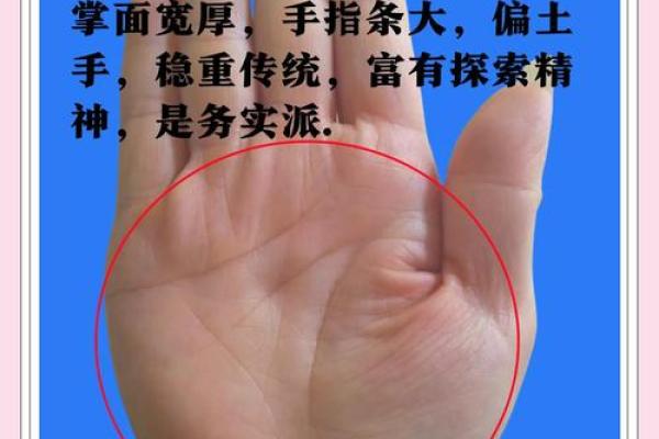 《手相学习百科》：掌脊纹