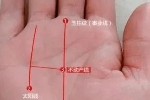 《手相学习百科》：掌脊纹