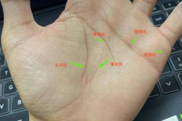 《手相学习百科》：生命线