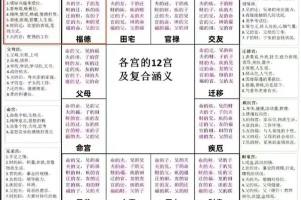 紫薇斗数的天罗地网