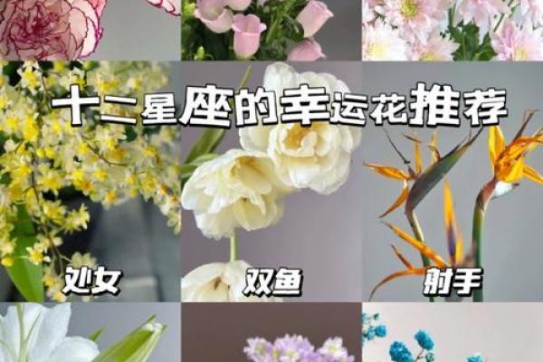 十二星座代表的守护花都有哪些呢