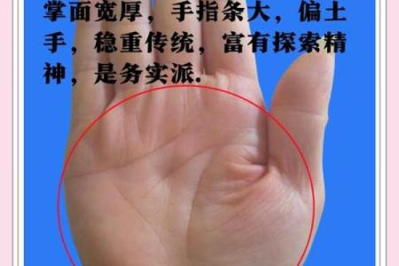 《手相学习百科》：掌脊纹
