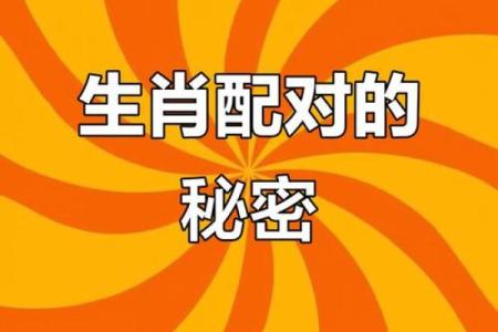 属相猪的性格特点及其与其他属相的配对