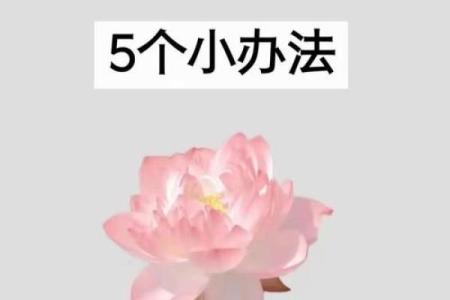 做一个旺财风水布局让你的财运大发 来年好运连连