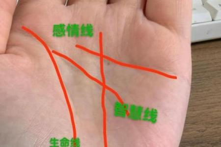 《手相学习百科》：生命线